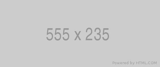 Over 10 years tree service expertise